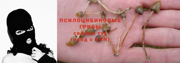MESCALINE Нефтегорск