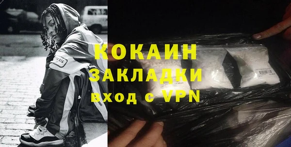 хмурый Алзамай