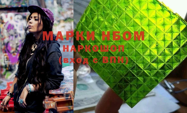 хмурый Алзамай