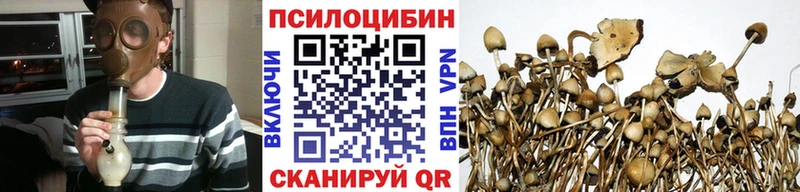 Псилоцибиновые грибы Magic Shrooms  kraken как войти  Чаплыгин  купить  